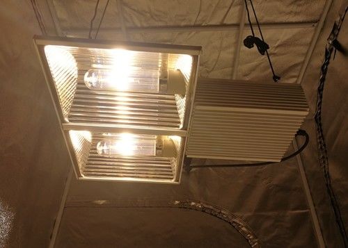 580µmol/s 164ft CMH растут спектр 630W светов полный