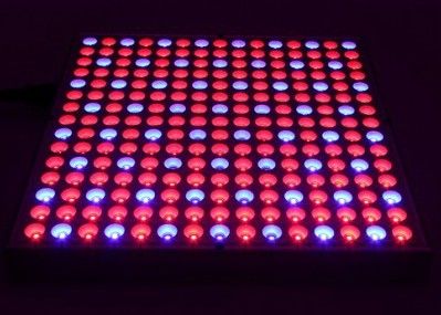 гидропоника 38W 0.5m2/0.3m приведенная для того чтобы вырасти заводы индикаторной панели светов 45W крытые