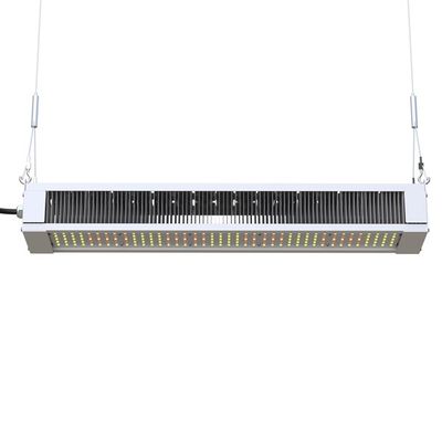 RikoLite 240W полное СИД спектра растет светлая тонкая Адвокатура, СИД садоводства AL1100 растет света