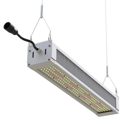 RikoLite 240W полное СИД спектра растет светлая тонкая Адвокатура, СИД садоводства AL1100 растет света