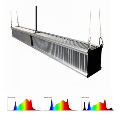 завод парника 800w 2.7μMol/J растет света гибрид садоводства привел тонкую Адвокатуру 1000w