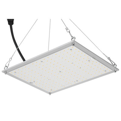 Гидропоника RikoLite 100W 277vac приведенная для того чтобы вырасти доска 167.3umol/S Кванта светов