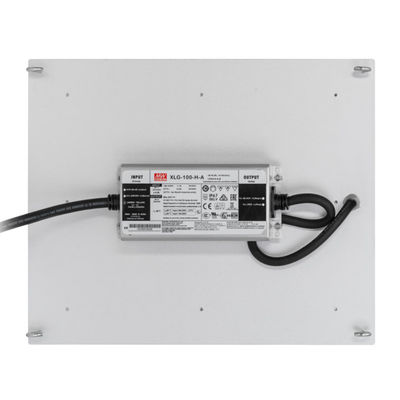 Гидропоника RikoLite 100W 277vac приведенная для того чтобы вырасти доска 167.3umol/S Кванта светов