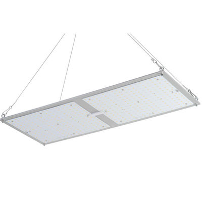 Доски Кванта культивирования лекарственного растения Rikolite 200w системы крытой hydroponic растя
