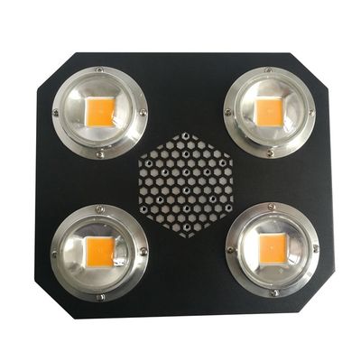 Приведенный завод Rikolite 780nm растет удара сальто светов сплав AC855V крытого УЛЬТРАФИОЛЕТОВОГО алюминиевый