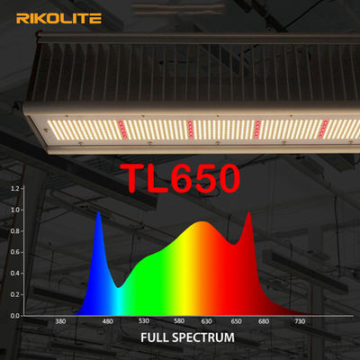 TL650 парник РАВЕНСТВА 1755umol/S приведенный для того чтобы вырасти света 630W для Veg/цветка