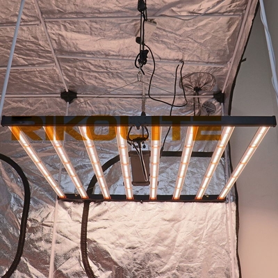 СИД наивысшей мощности 5X5 растет света LM301B/LM301H Osram 660nm Osram 730nm