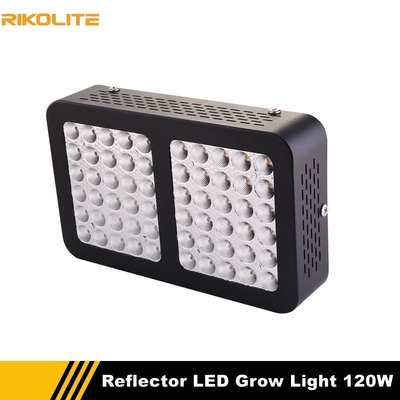 растут, что света, полный гидрактор спектра растет завод 120w 510umol крытый света