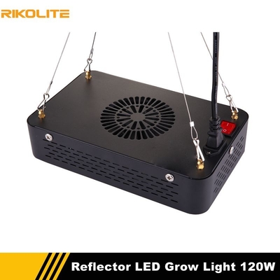 растут, что света, полный гидрактор спектра растет завод 120w 510umol крытый света