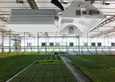 СИД СПРЯТАННОЕ 1050µMol/S растет света, 630W подрезывает керамический галоид металла растет светлым