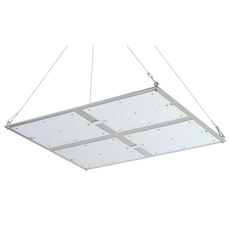 Наивысшая мощность Rikolite 400w приведенная для того чтобы вырасти света, Hydroponic завод 149.6m/W растет светлой